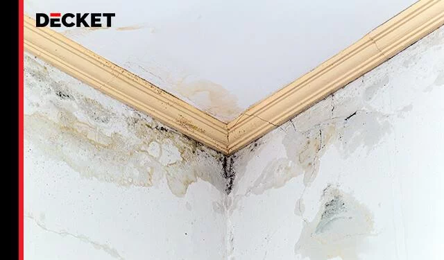 Ściana i sufit w narożniku z widoczną wilgocią i pleśnią, przykład problemu z grzybem na poddaszu.